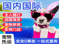 甘南夏河机场快递国际宠物托运 【国
